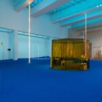 Daniel Steegmann Mangrané, MACBA, arte contemporáneo