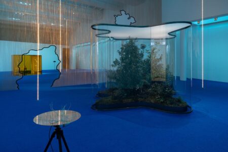 Daniel Steegmann Mangrané, MACBA, arte contemporáneo