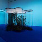Daniel Steegmann Mangrané, MACBA, arte contemporáneo