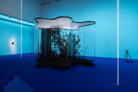 Daniel Steegmann Mangrané, MACBA, arte contemporáneo