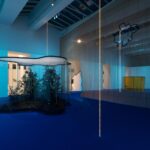 Daniel Steegmann Mangrané, MACBA, arte contemporáneo