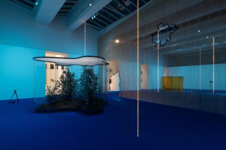 Daniel Steegmann Mangrané, MACBA, arte contemporáneo