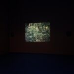 Daniel Steegmann Mangrané, MACBA, arte contemporáneo