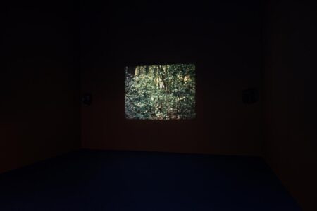 Daniel Steegmann Mangrané, MACBA, arte contemporáneo