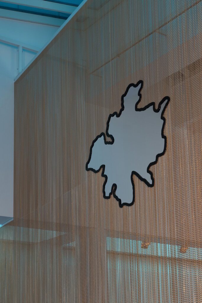Daniel Steegmann Mangrané, MACBA, arte contemporáneo