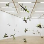 Living Thoughts. Daniel Steegmann Mangrané. Foto: © Stuart Whipps