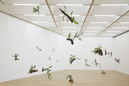 Living Thoughts. Daniel Steegmann Mangrané. Foto: © Stuart Whipps