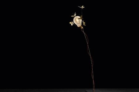 Ricchi Poveri - Five Butterflies. Ingo Maurer