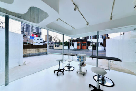 Torus House. N Maeda Atelier