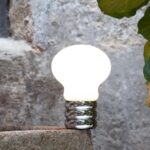Bulb. Ingo Maurer
