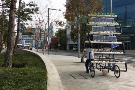 Bike Share Farm. People's Architecture Office (PAO)