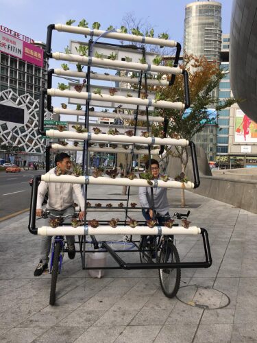 Bike Share Farm. People's Architecture Office (PAO)