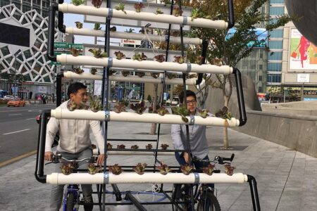 Bike Share Farm. People's Architecture Office (PAO)