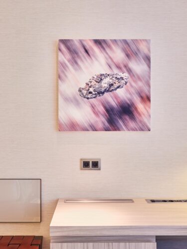Hèléne Bergaz. Premio de arte para artistas emergentes VP Hoteles