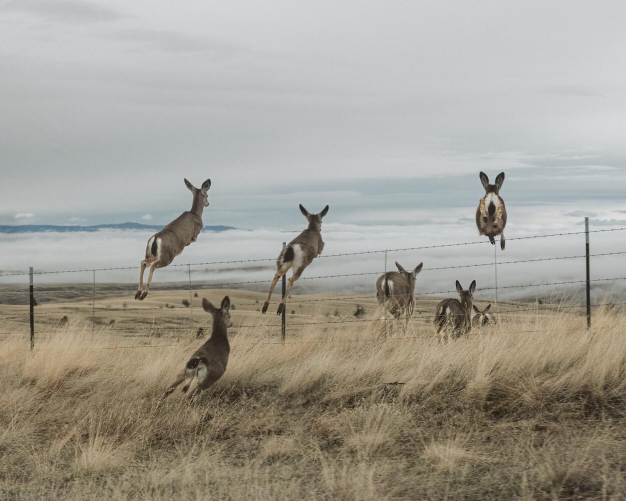 Brendon Burton, libro de fotografía, Norteamérica