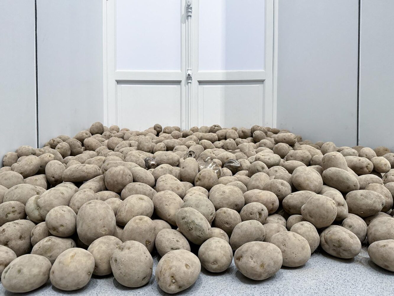 Bourse de Commerce Pinault Collection, arte povera