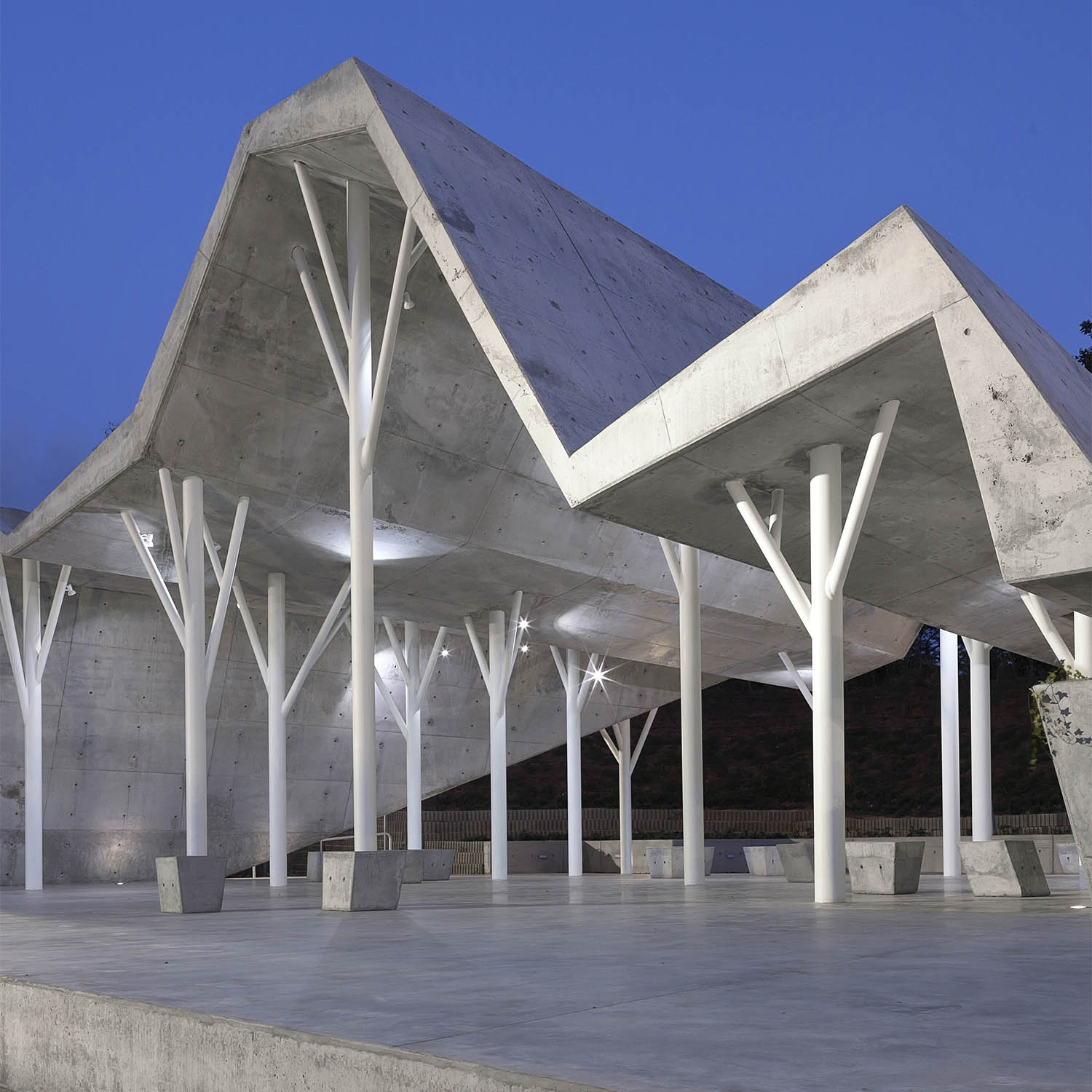 Ron Shenkin. Open Sided Shelter Gathering