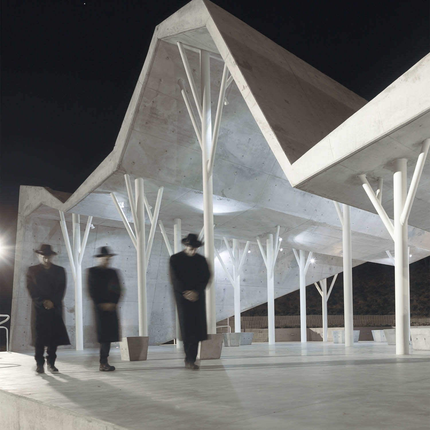 Ron Shenkin. Open Sided Shelter Gathering