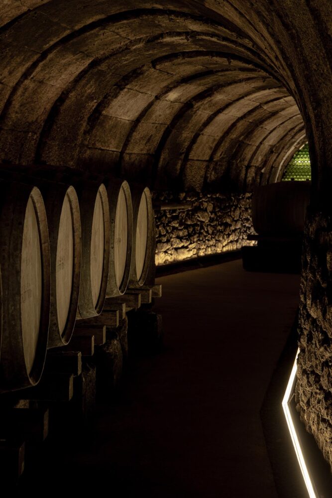 Francesc Rifé, Tritium Winery, La Rioja, Bodega