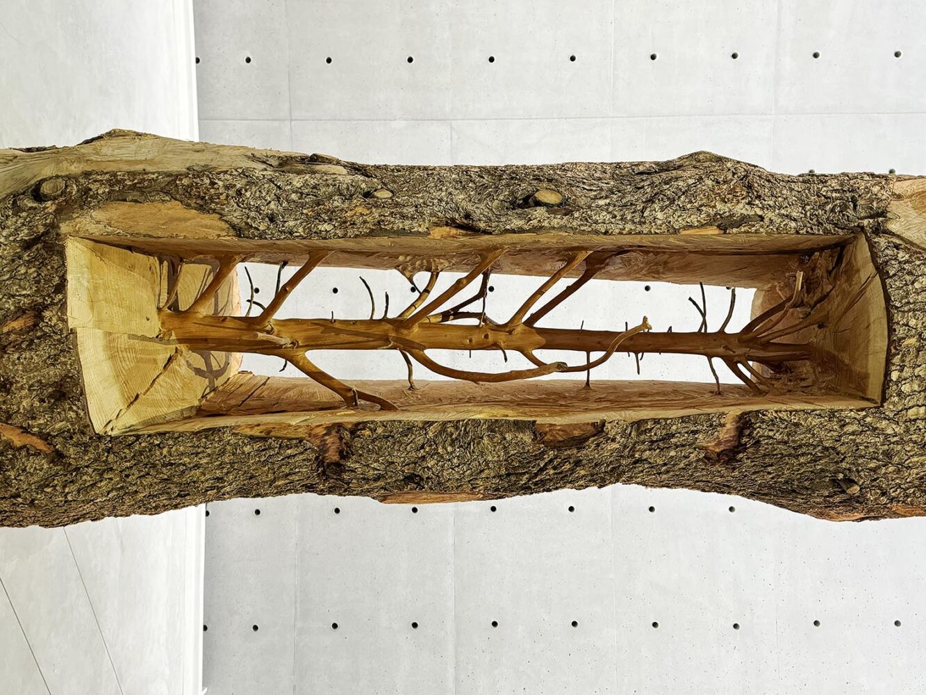 Bourse de Commerce Pinault Collection, arte povera