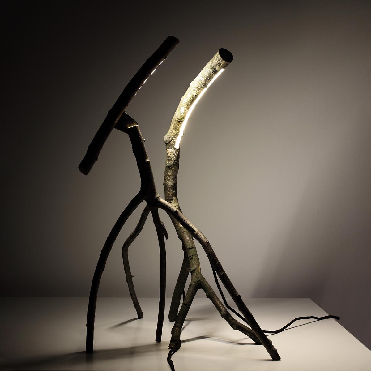 Branches. Marco Iannicelli