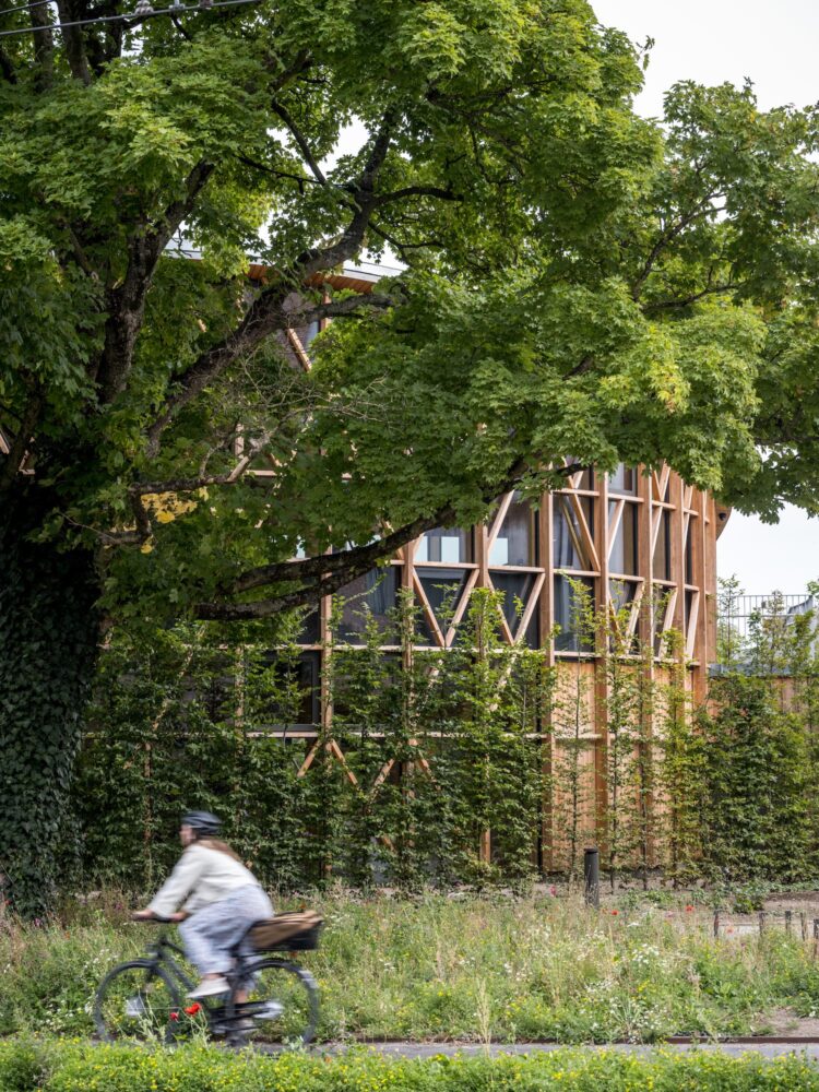 Jardín, Hans Christian Andersen, Odense, KKAA, Masu Planning
