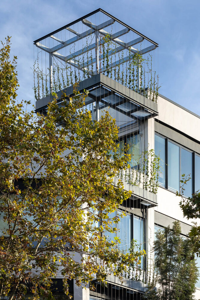 Tanger 66 Barcelona. BGY Architects