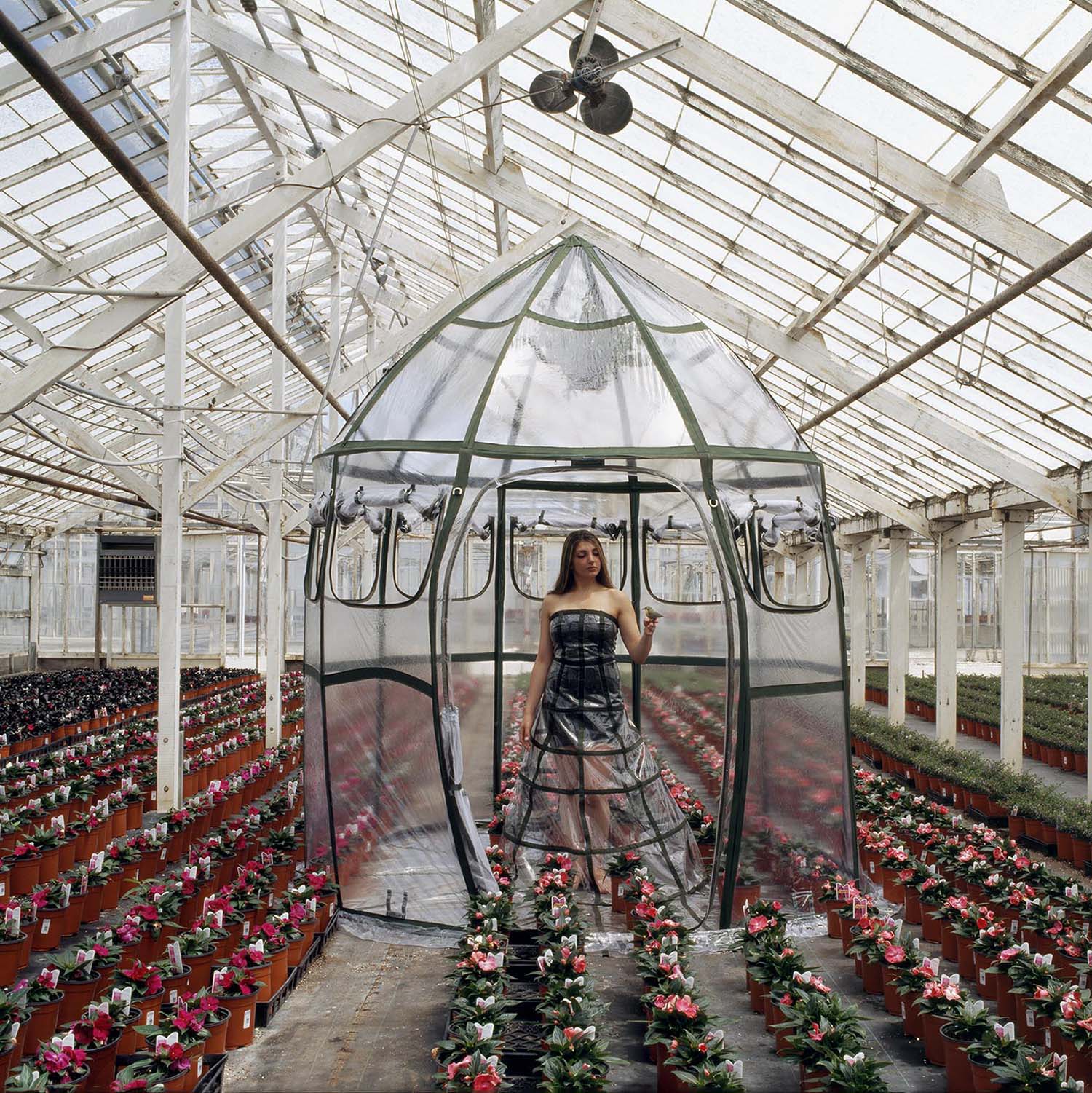 Dress Tents. Robin Lasser-Adrienne Pao