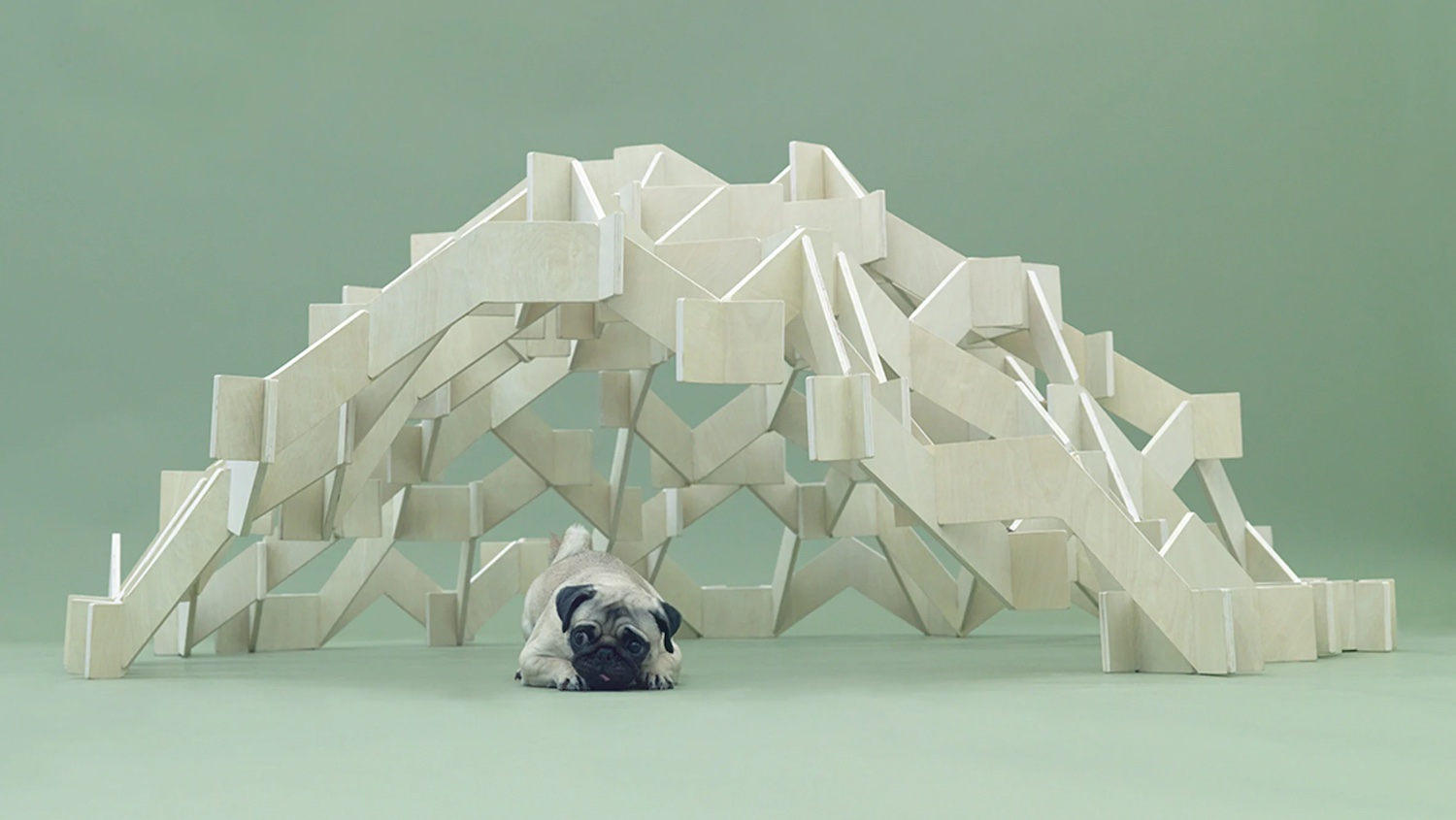 casas para perros, ADI Design Museum, microarquitectura