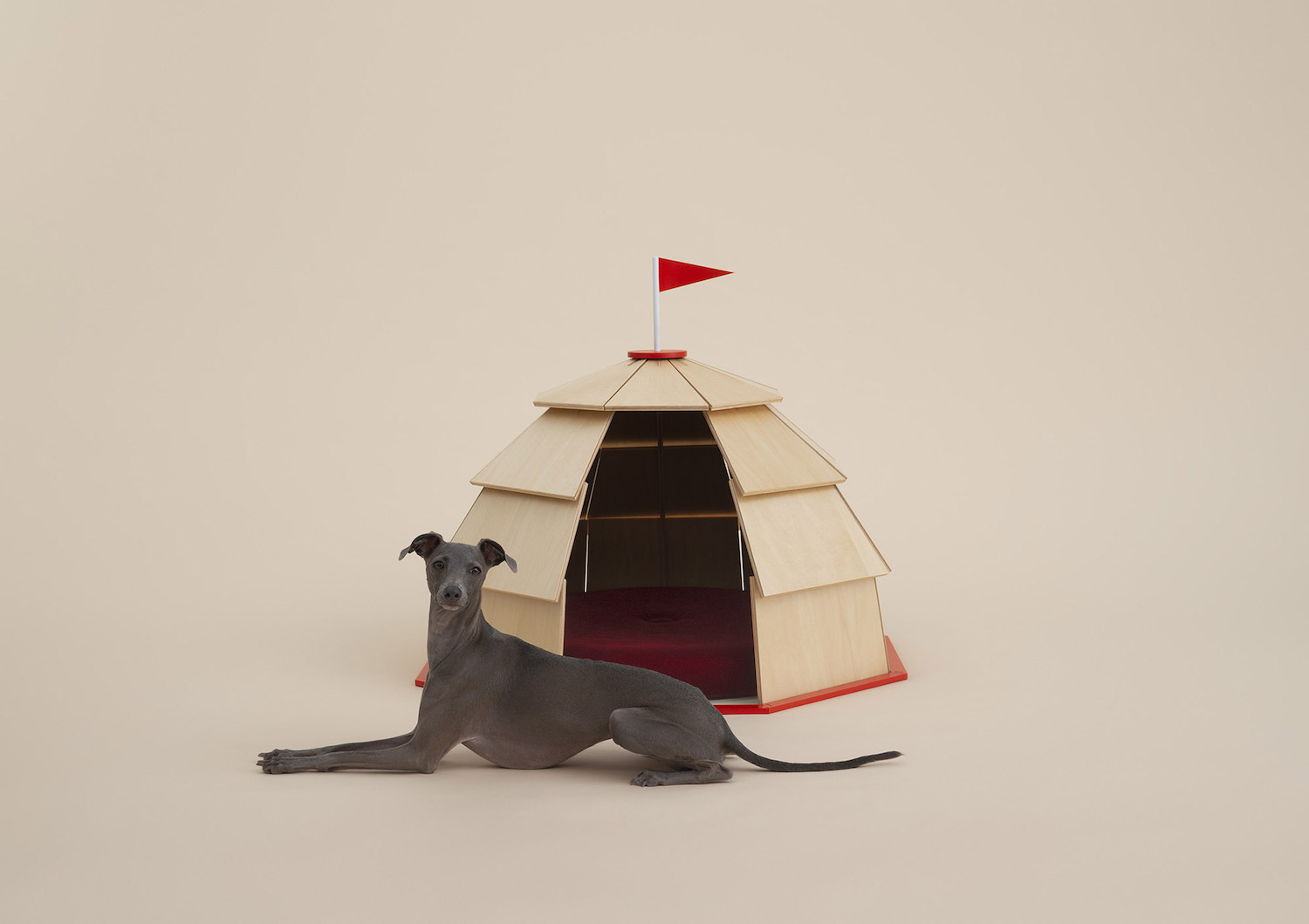 casas para perros, ADI Design Museum, microarquitectura
