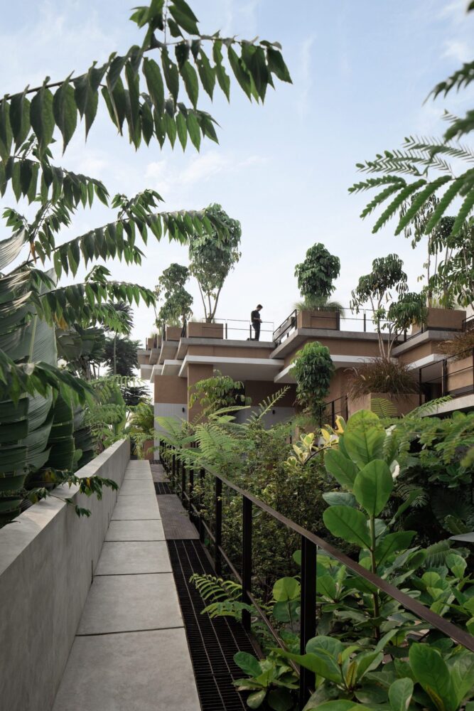 RAD+ar, brutalismo, oasis tropical