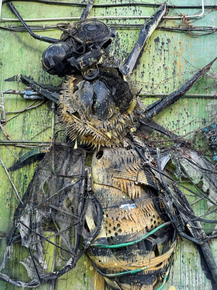 Bordalo II, trash art, Lisboa