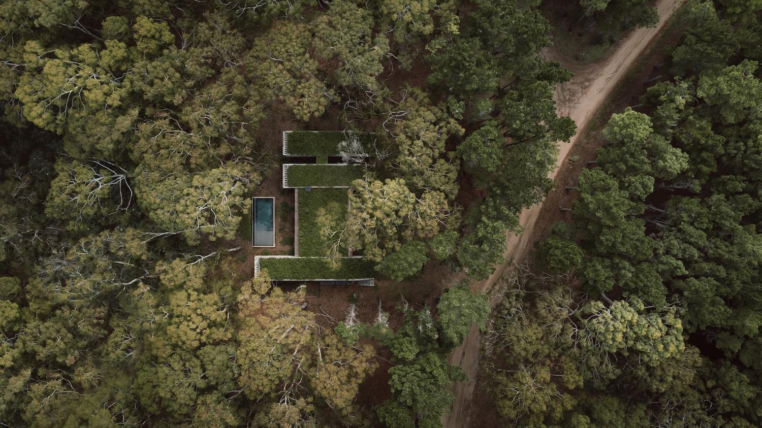 brutalismo, refugio en la naturaleza, casa enterrada, costa argentina