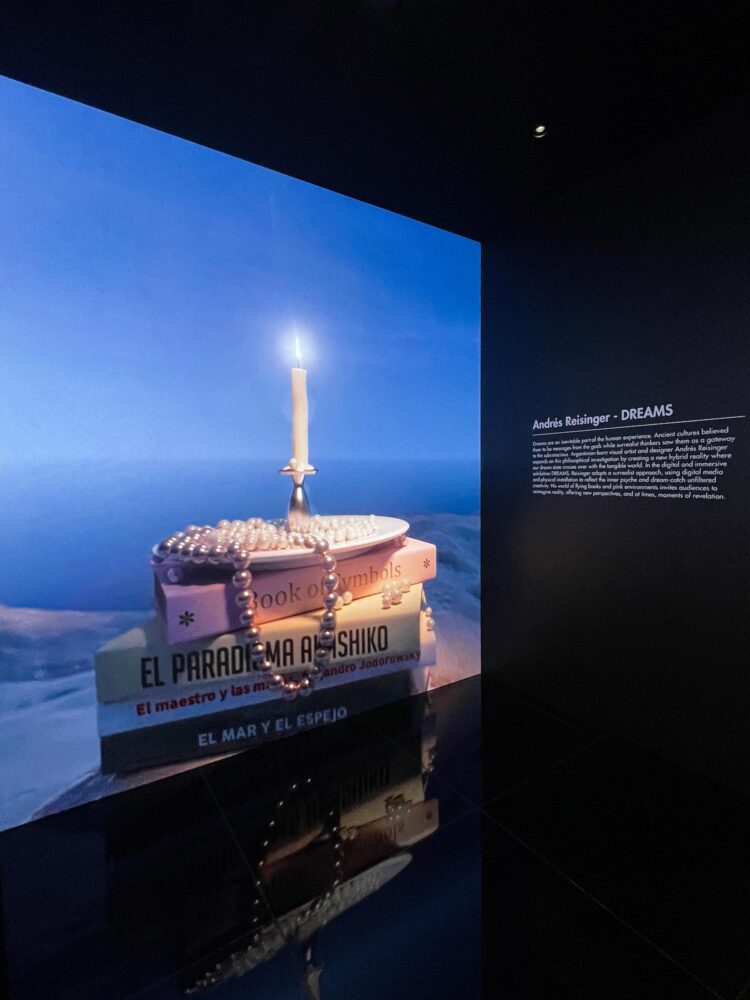 Moco Museum, Andrés Reisinger, arte digital, Ámsterdam