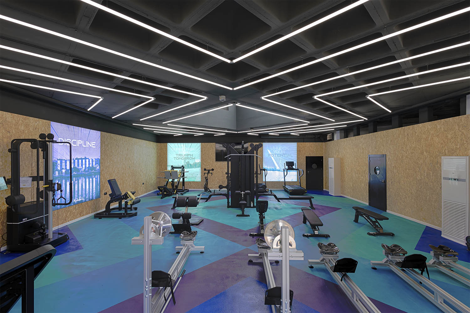 Gimnasio de alto rendimiento sala 2