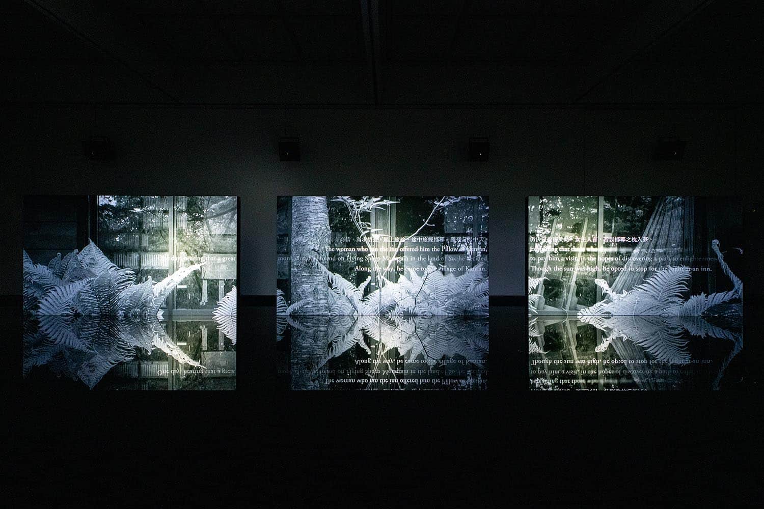 Seeing sound, hearing time. Ryuichi Sakamoto. Museum of Contemporary Art Tokyo, 2024 (MOT Tokio)