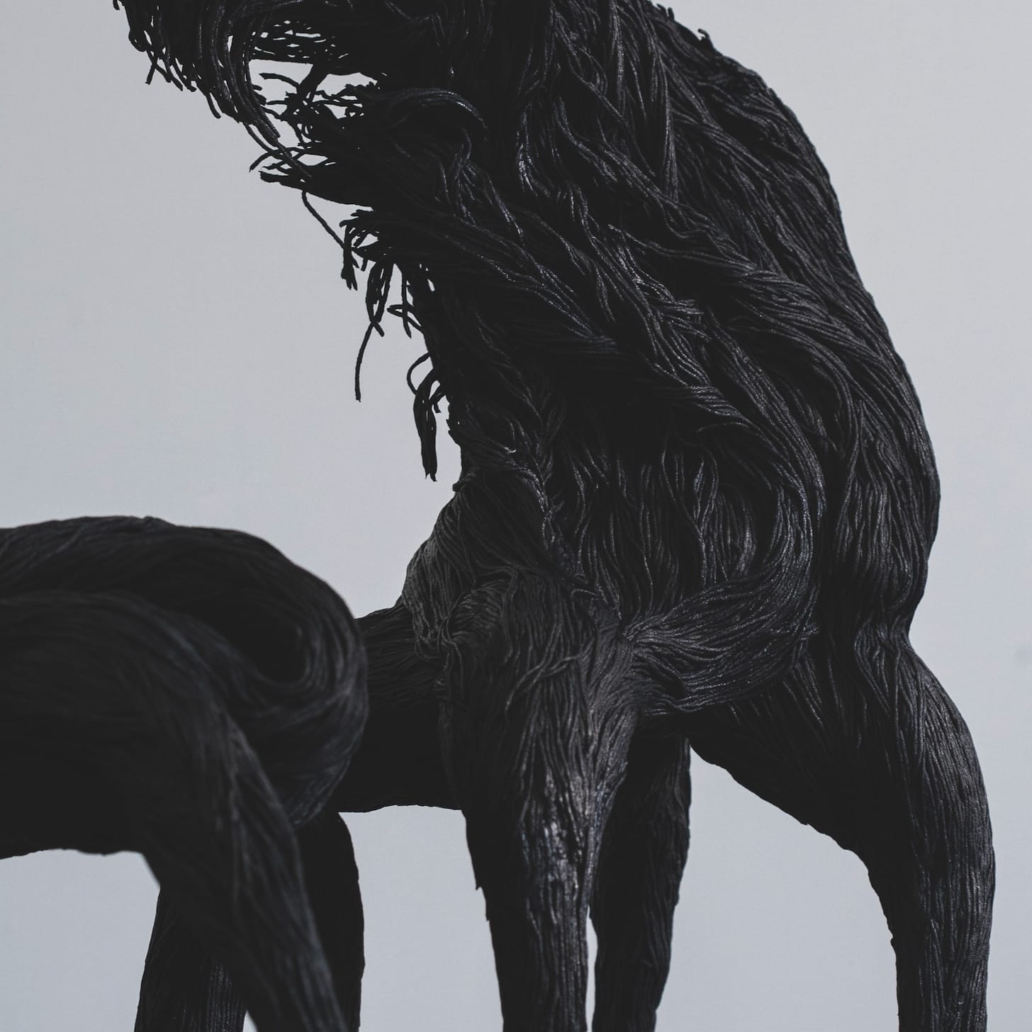 Aurelie Hoegy