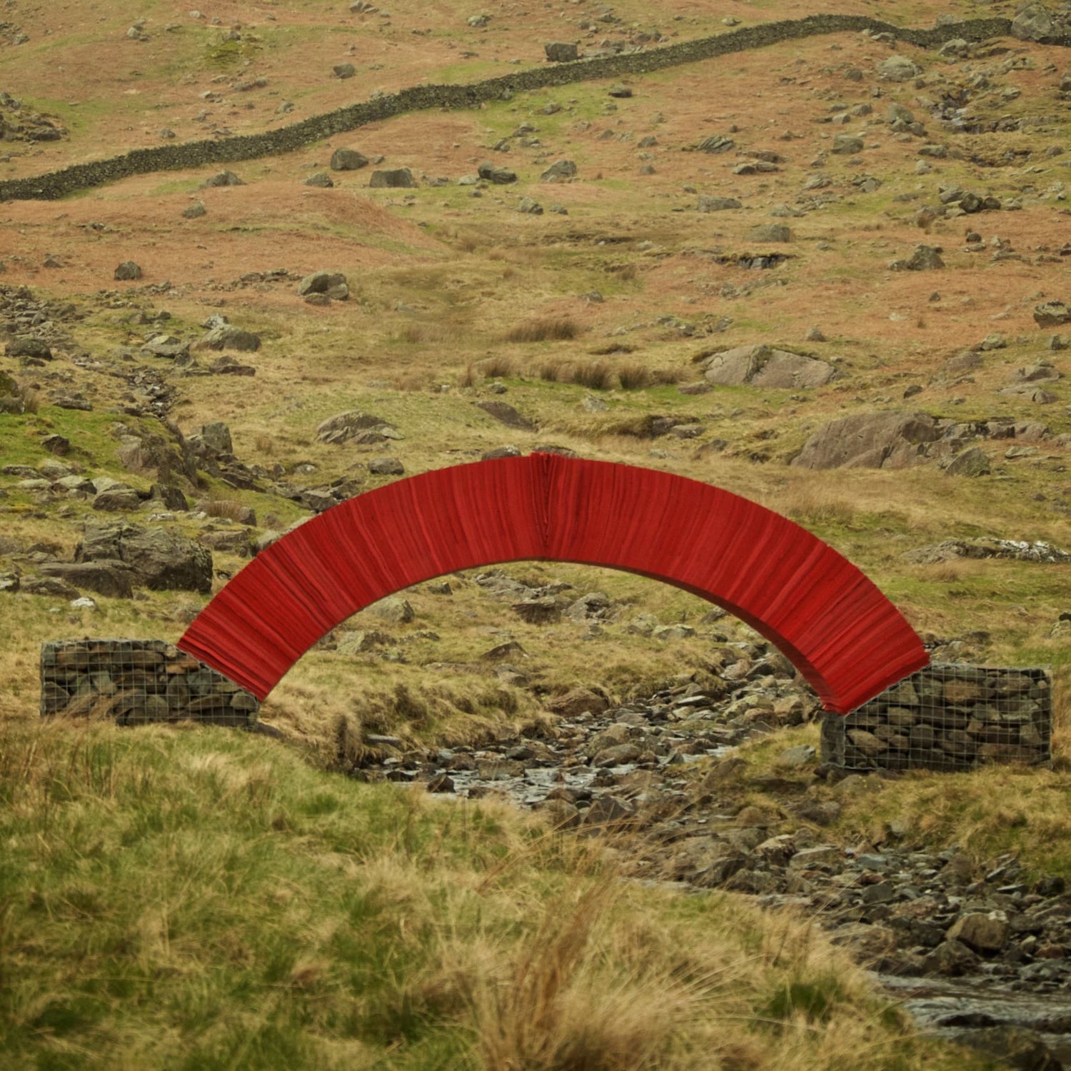 Steve Messam