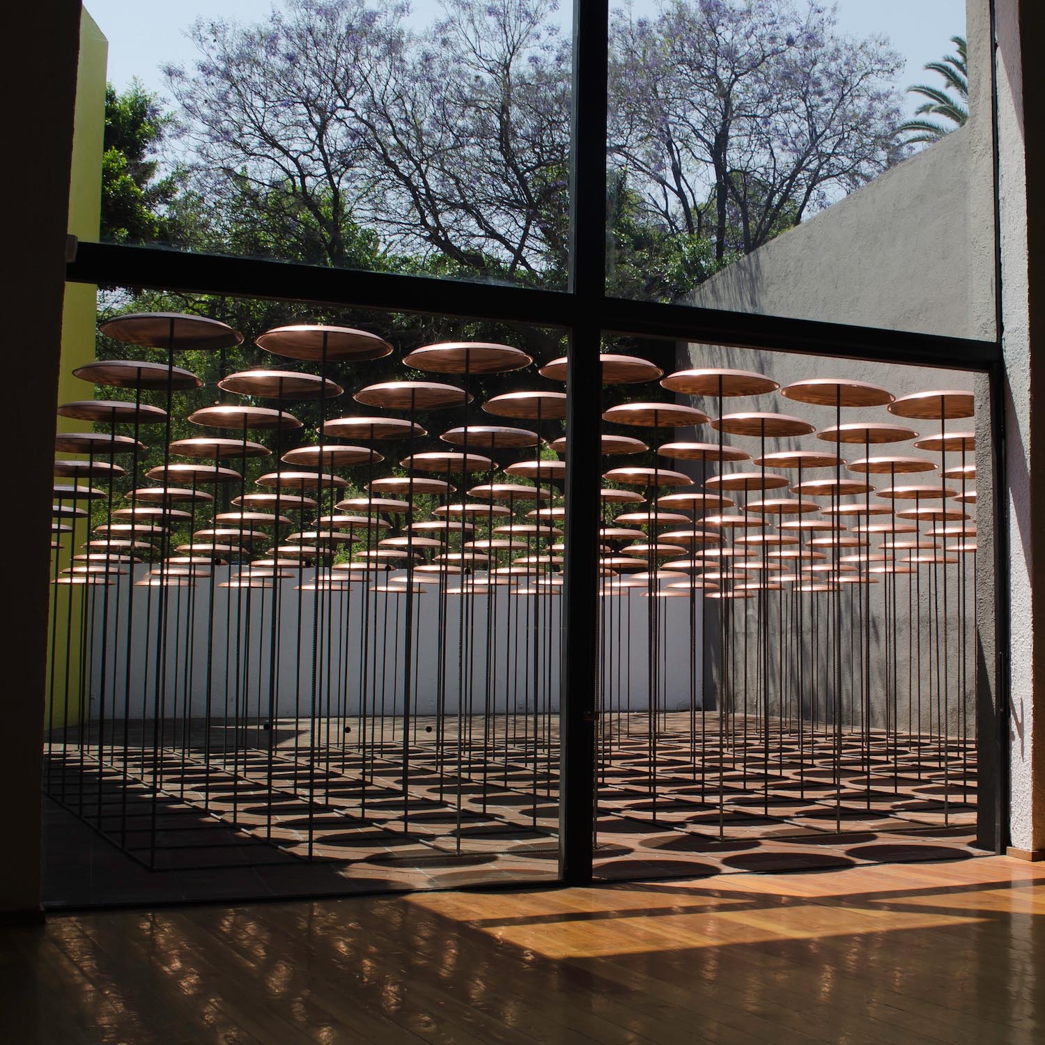 To Arquitectos