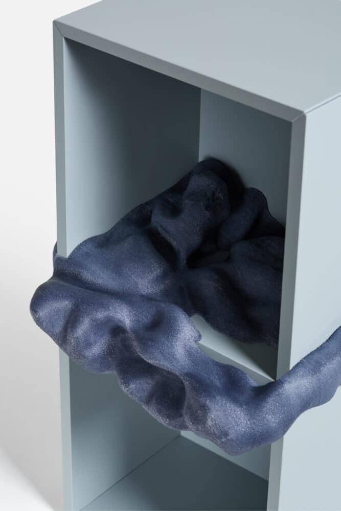 IKEA, parasite