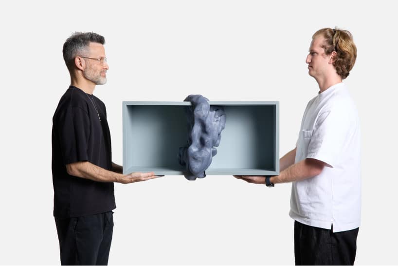 IKEA, parasite