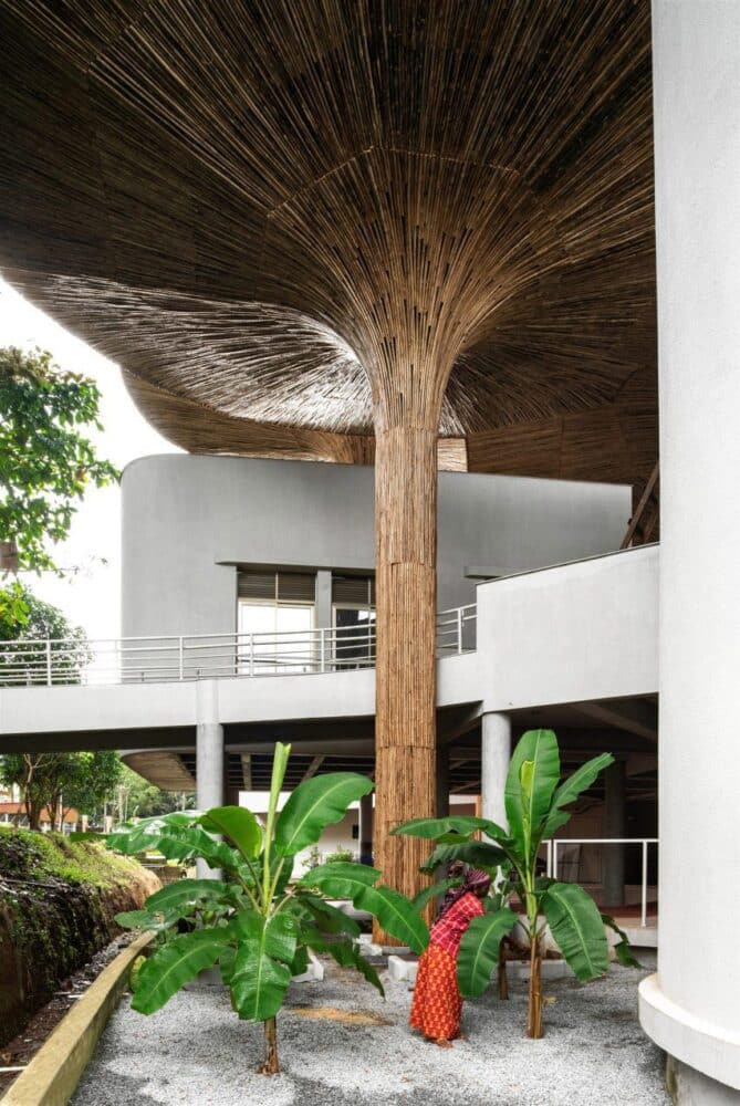 bambú, arquitectura bioclimática