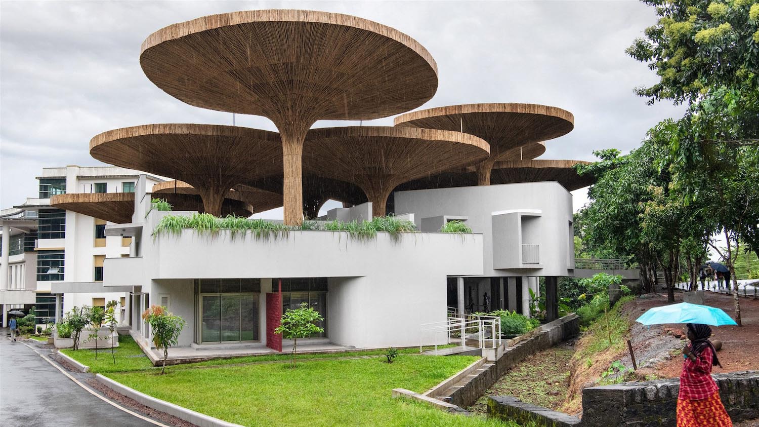 bambú, arquitectura bioclimática