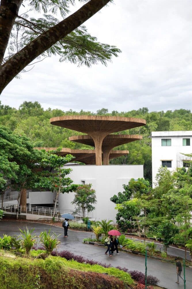 bambú, arquitectura bioclimática