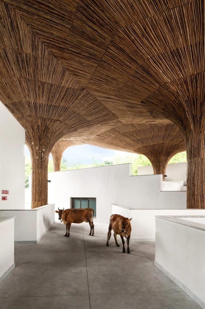 bambú, arquitectura bioclimática