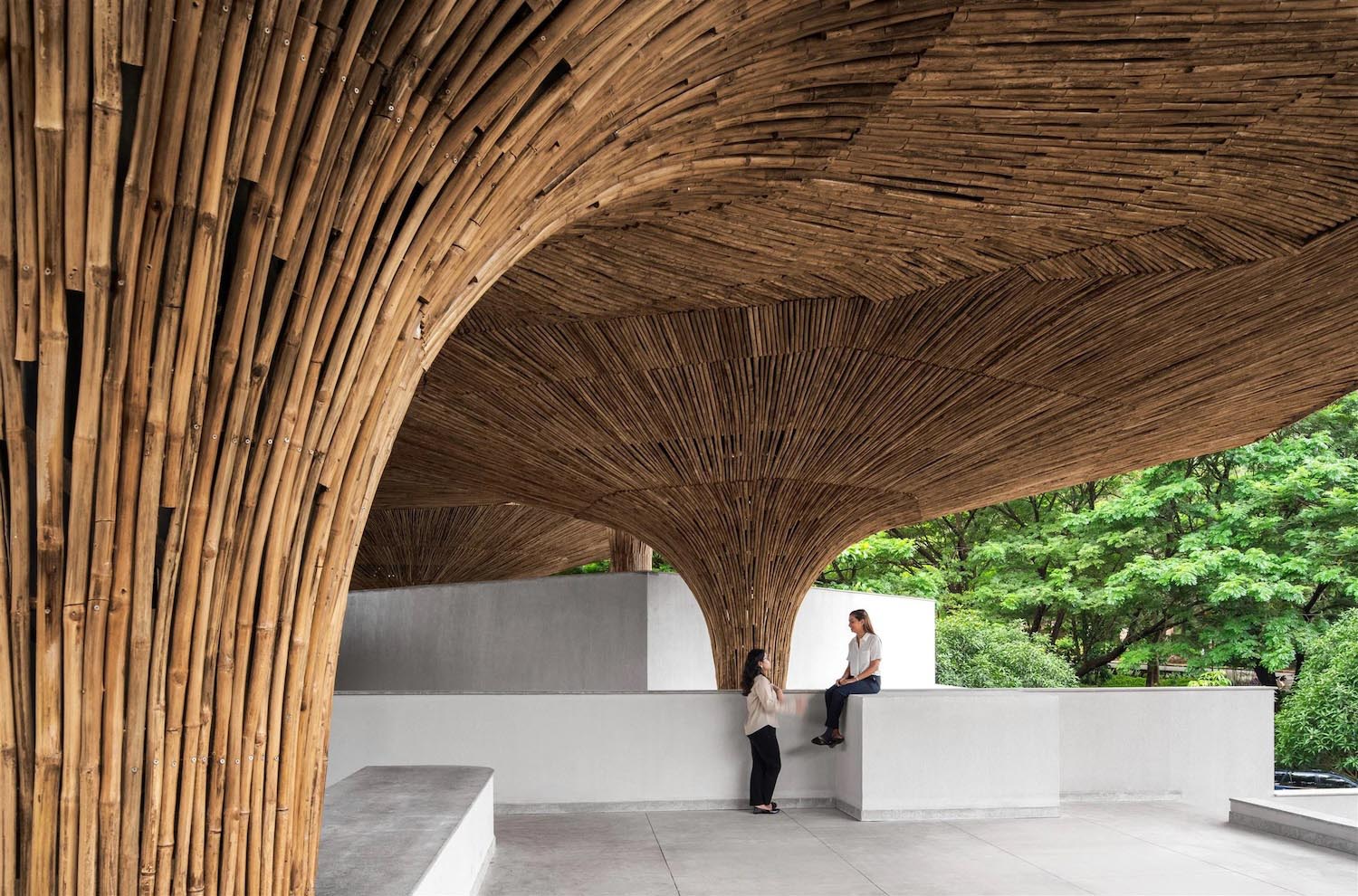 bambú, arquitectura bioclimática