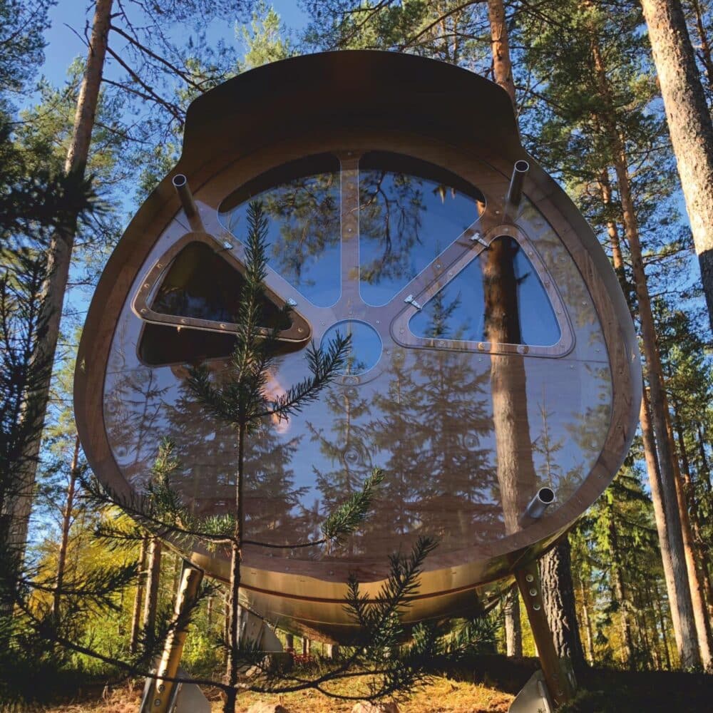 Tree Tents
