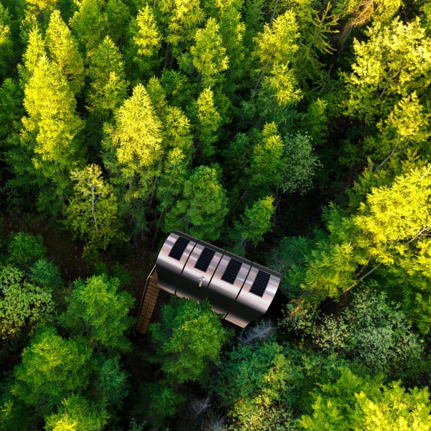 Tree Tents