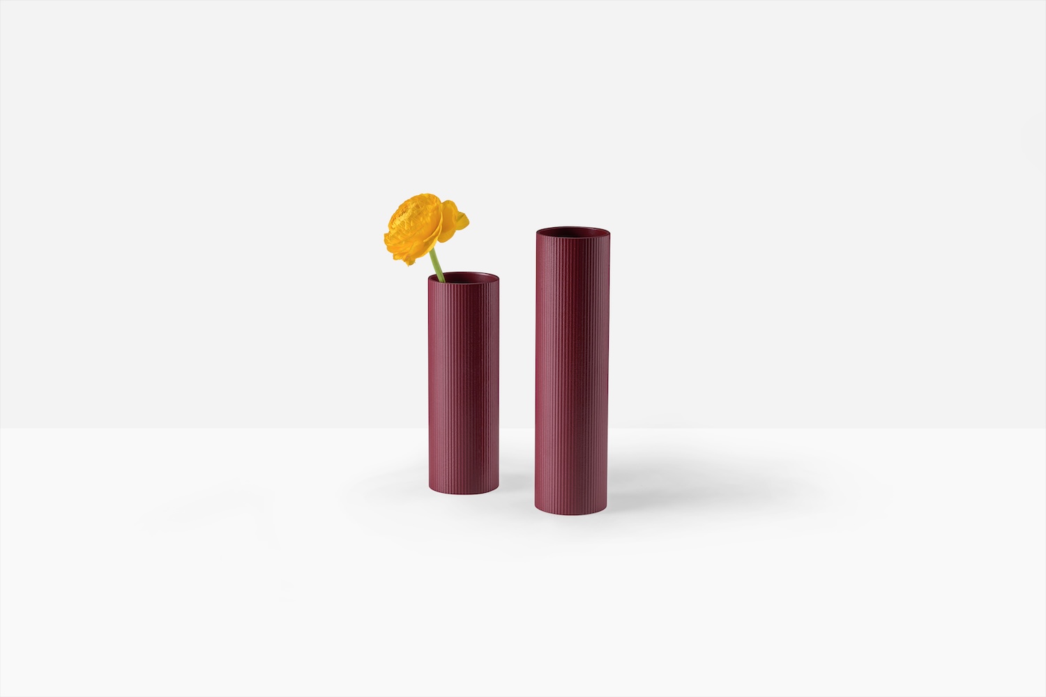 Filicudi. Pedrali. Milan Design week 2025