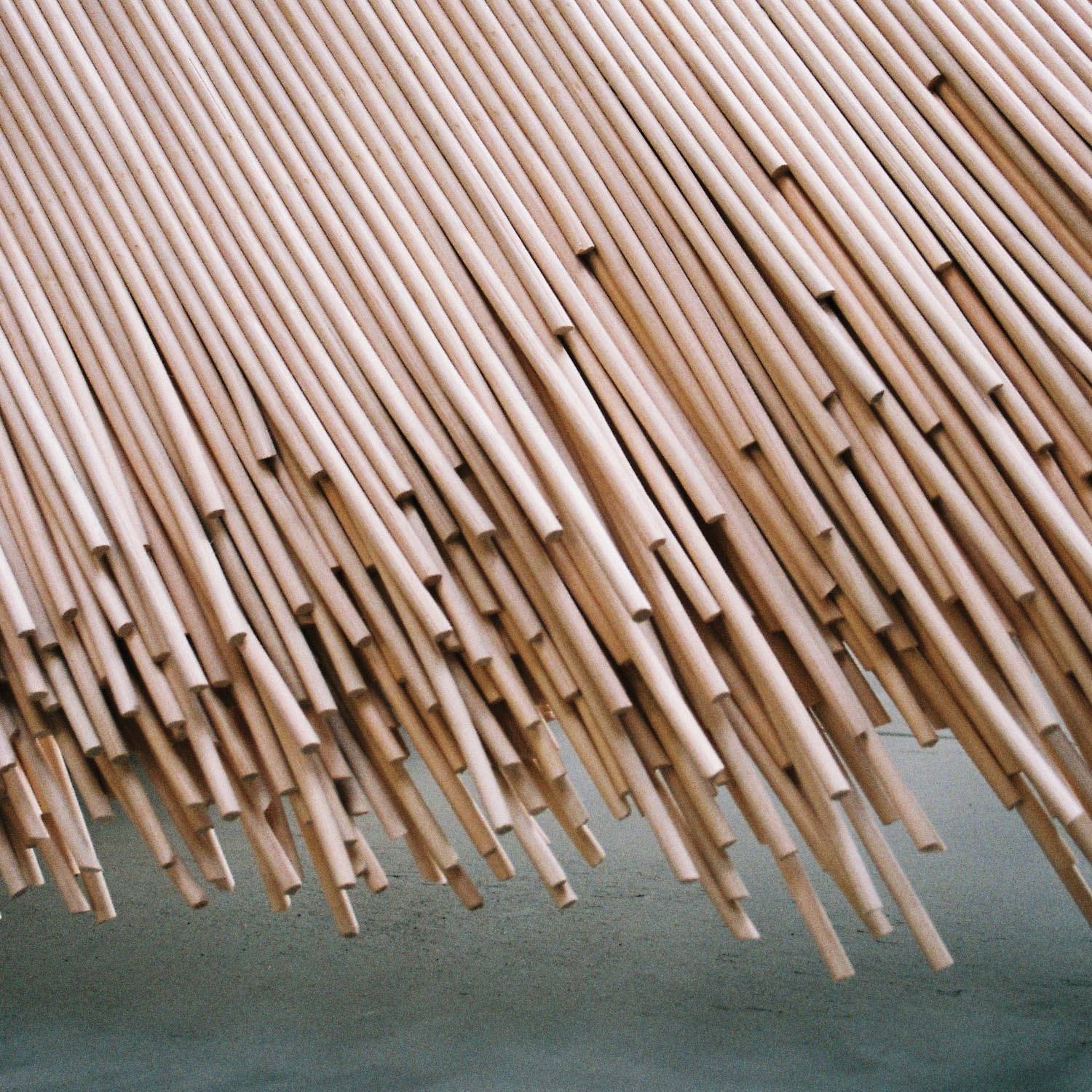 Aurelie Hoegy
